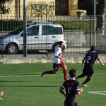 DSC_0041 (1)